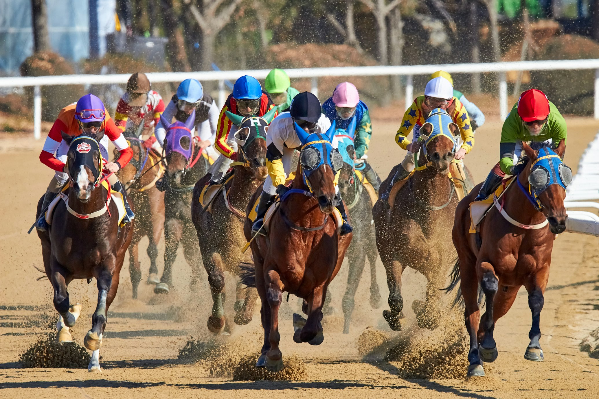 Horse racing at the Kentucky Derby