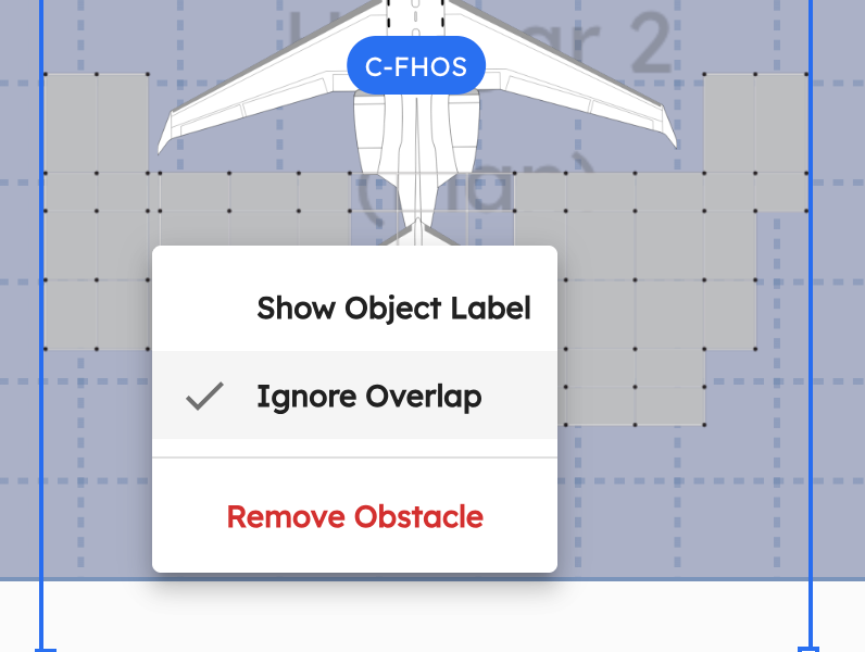 Display toggles showing hidden labels and ignored overlap on obstacles